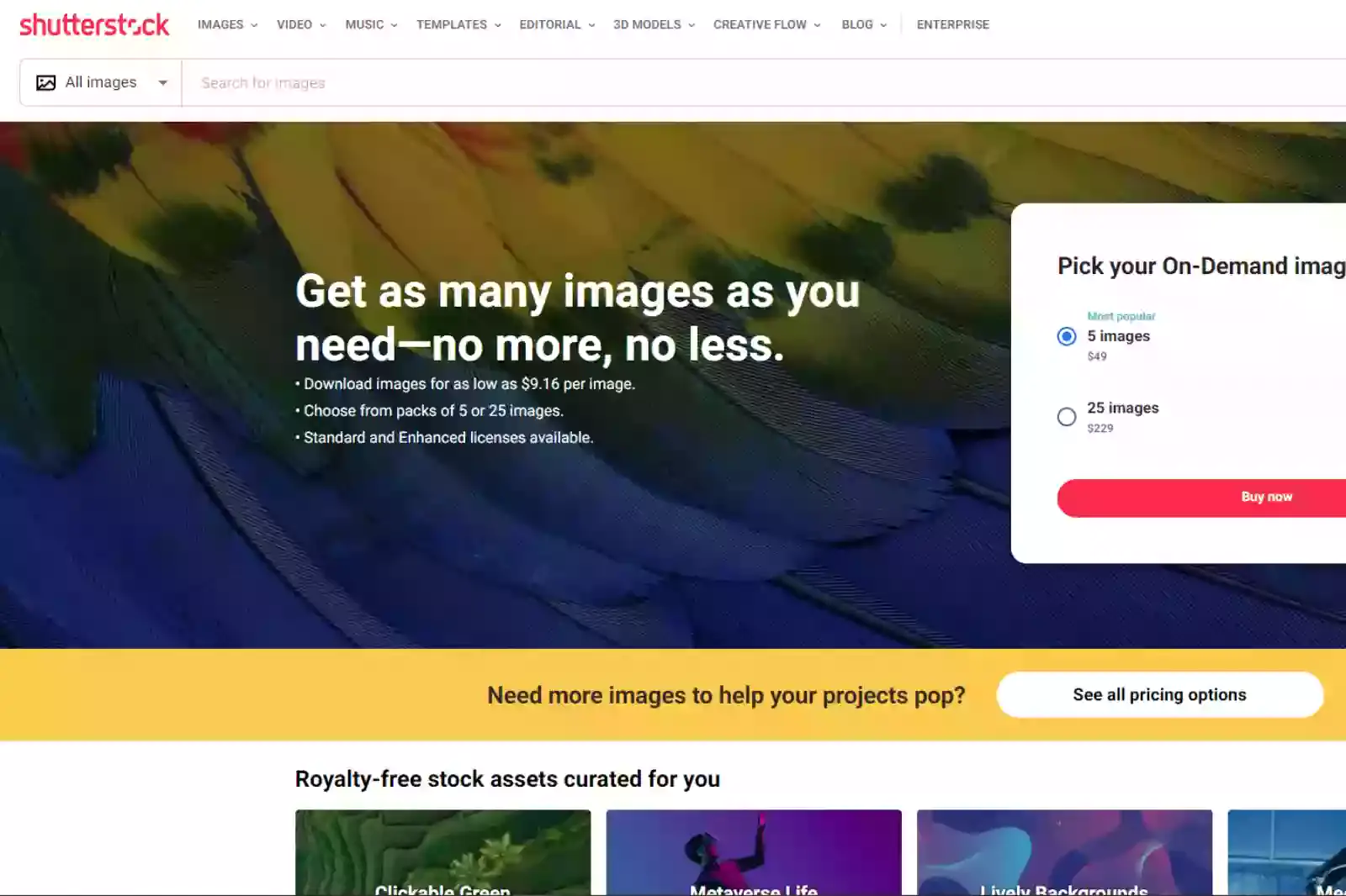 Home Page of Shutterstock