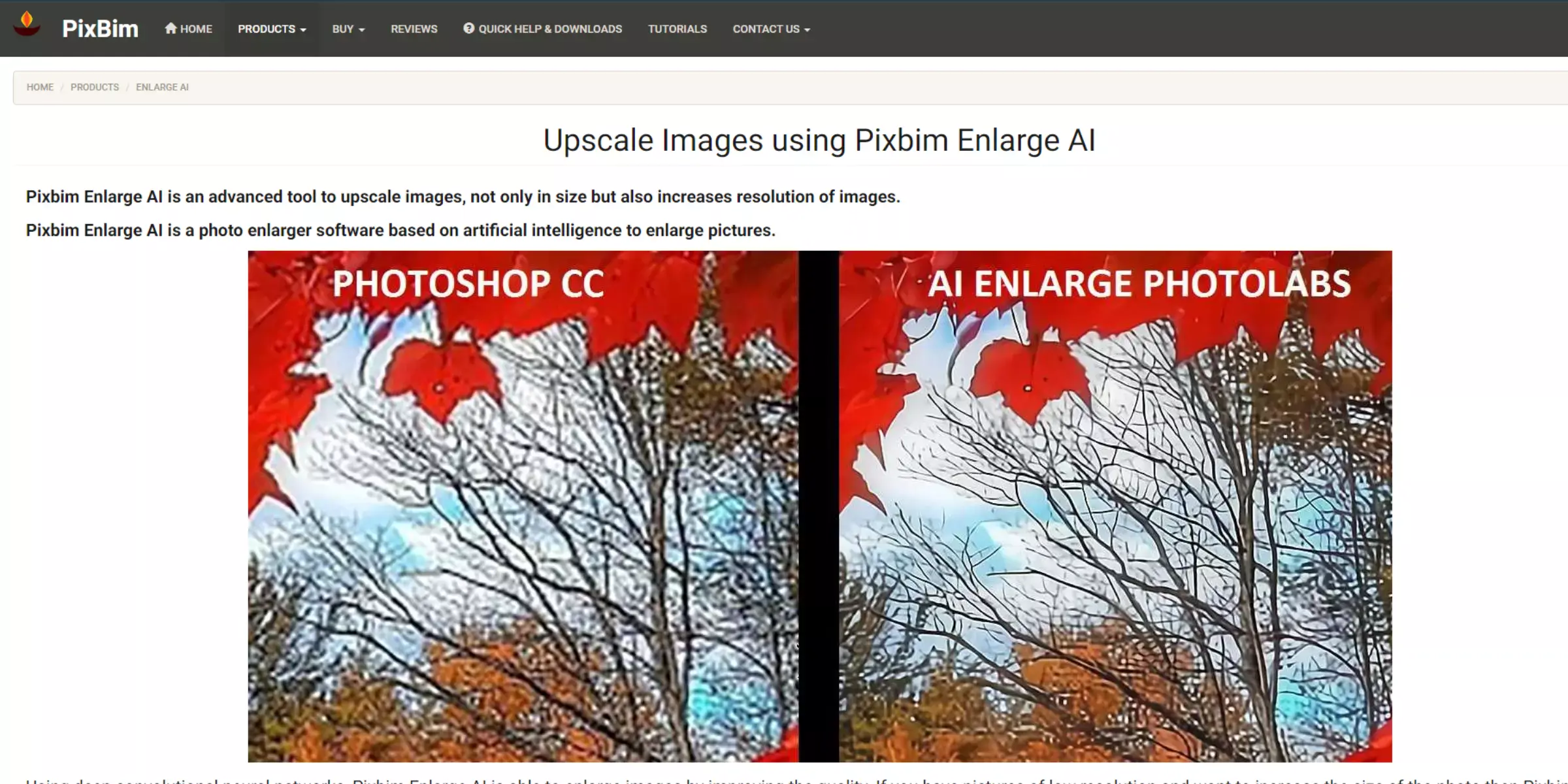 Home page of AI Enlarge Photolabs