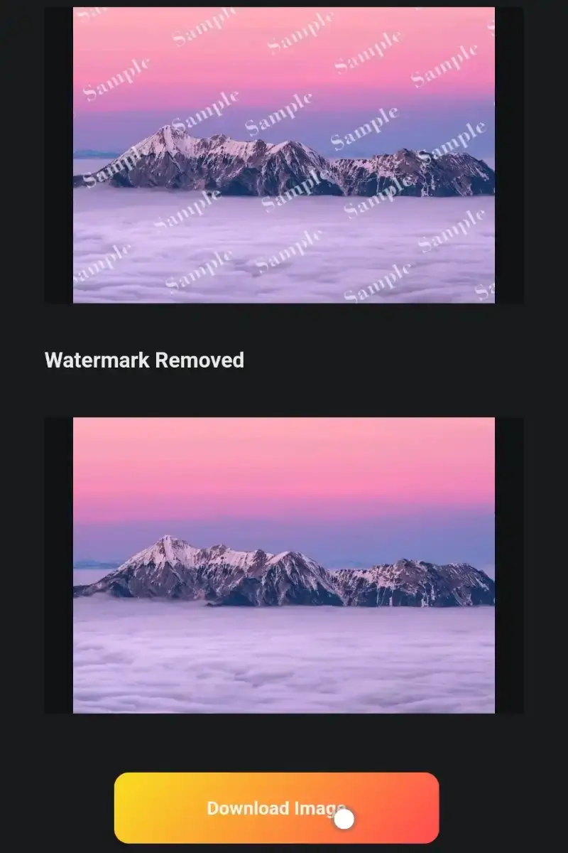 remove the watermark and wait for the process to complete