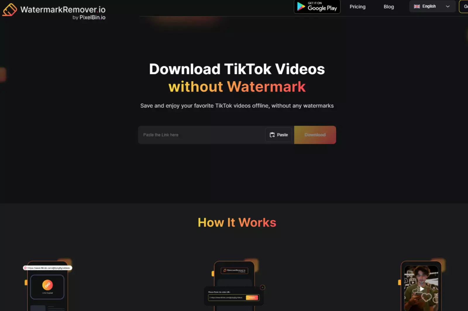 Insert your TikTok video link into the provided search bar