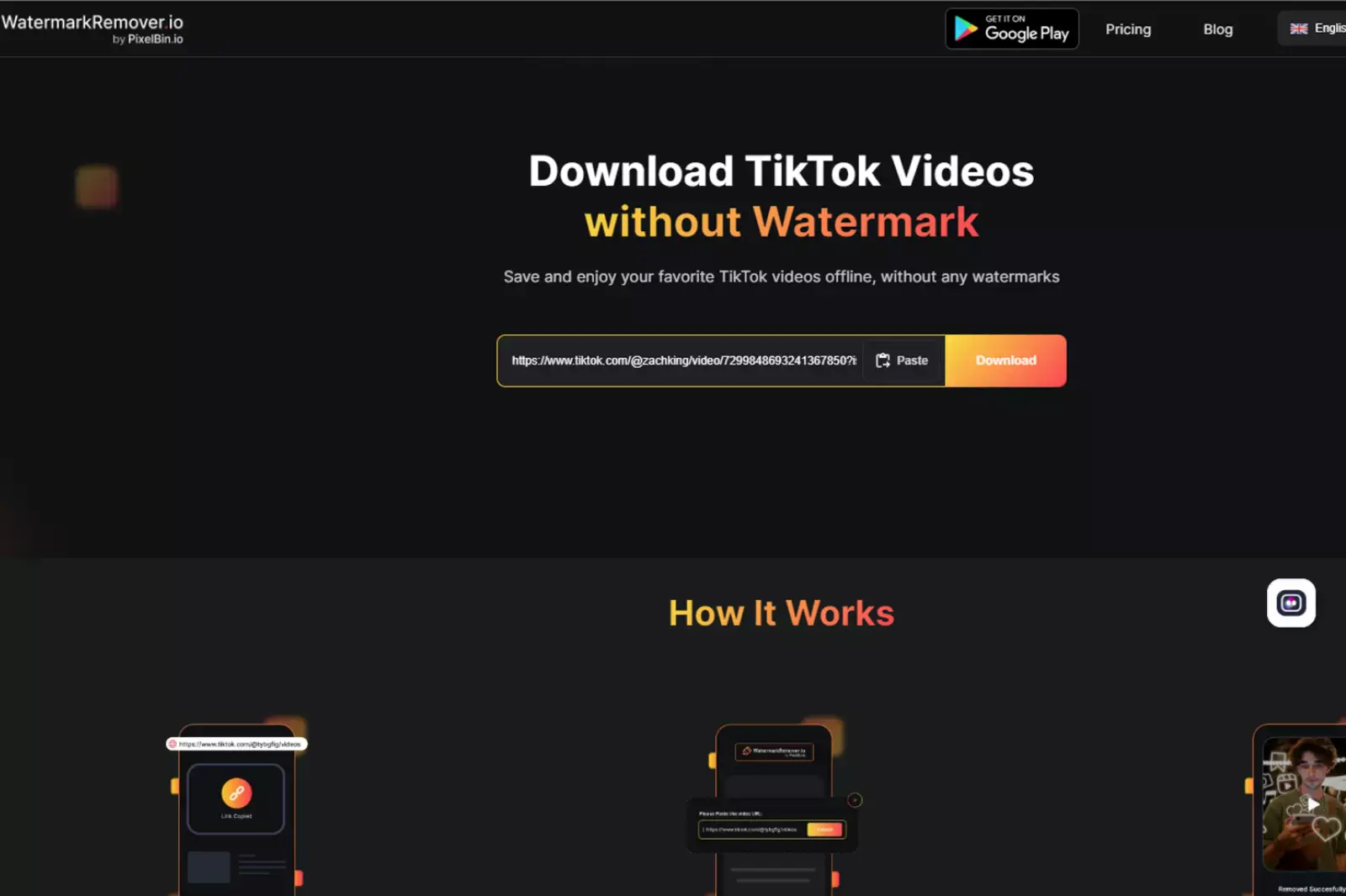 Insert the link of your TikTok video into the provided space.