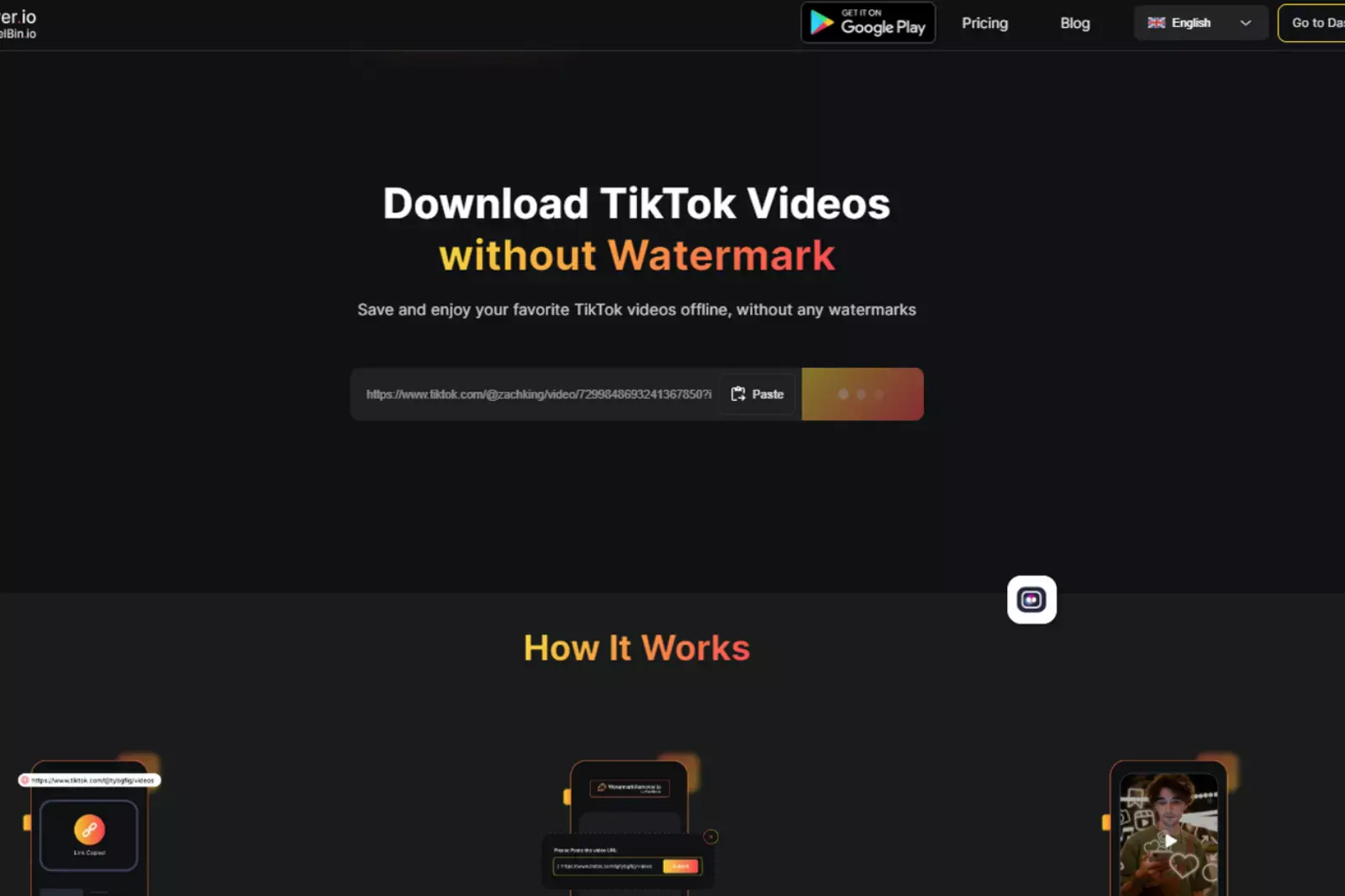 Tiktok Watermark Remover to work its magic