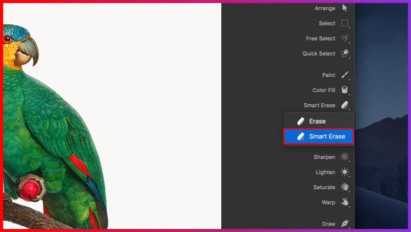 Step 2: Choose and alter the Smart Erase tool.