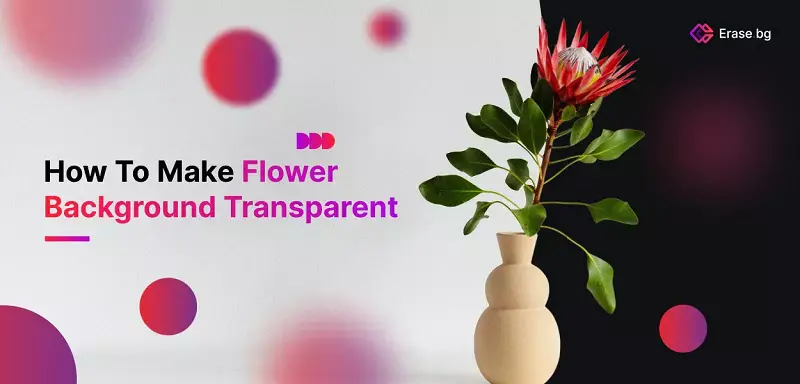 How to Make Flower Background Transparent?