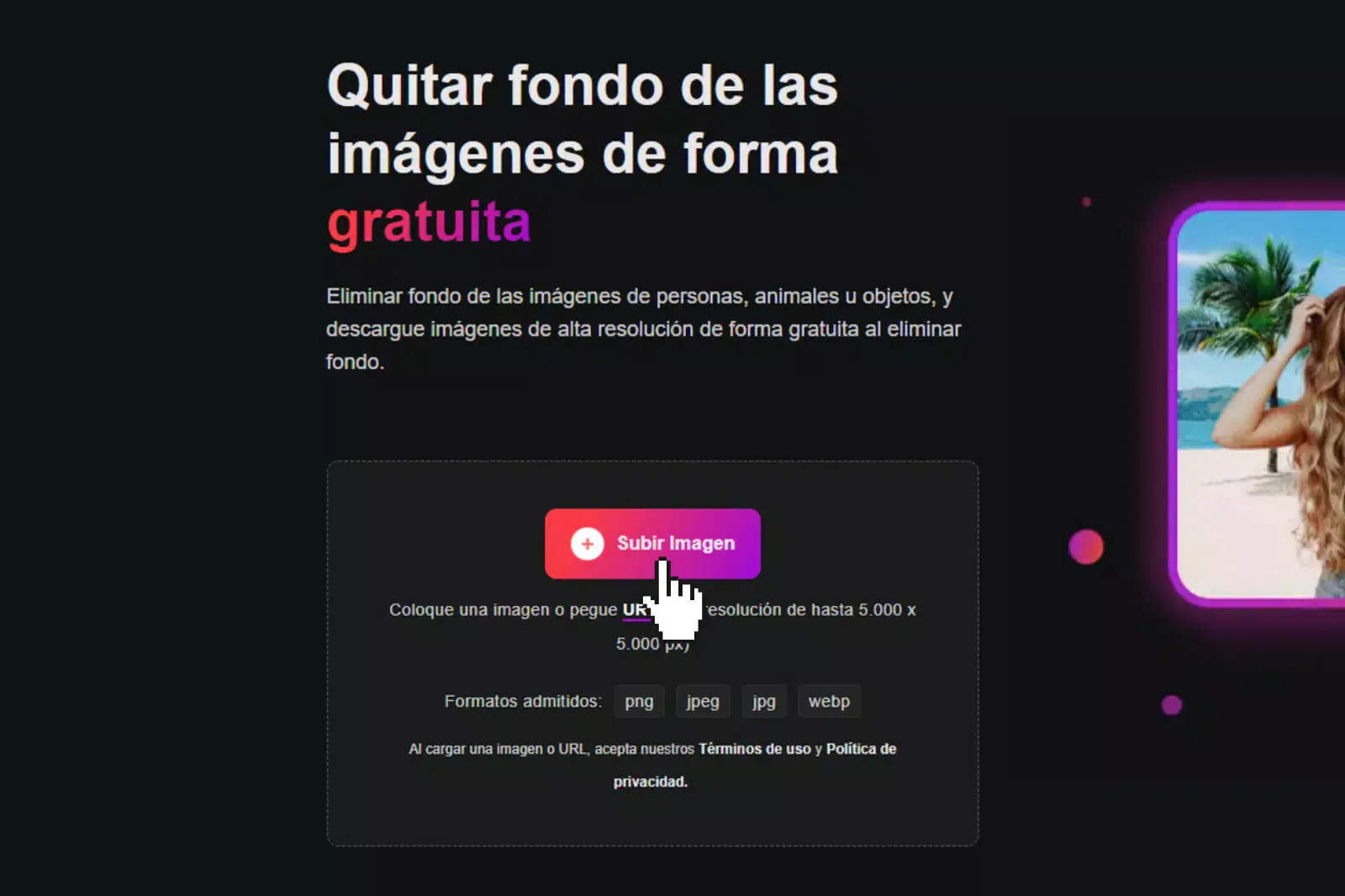 En la primera página del sitio web