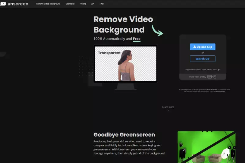 home page of unscreen