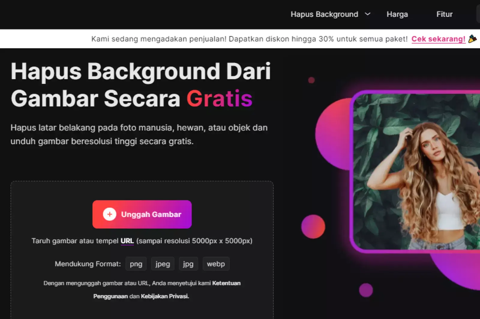 Pergi ke situs web resmi Erase.bg