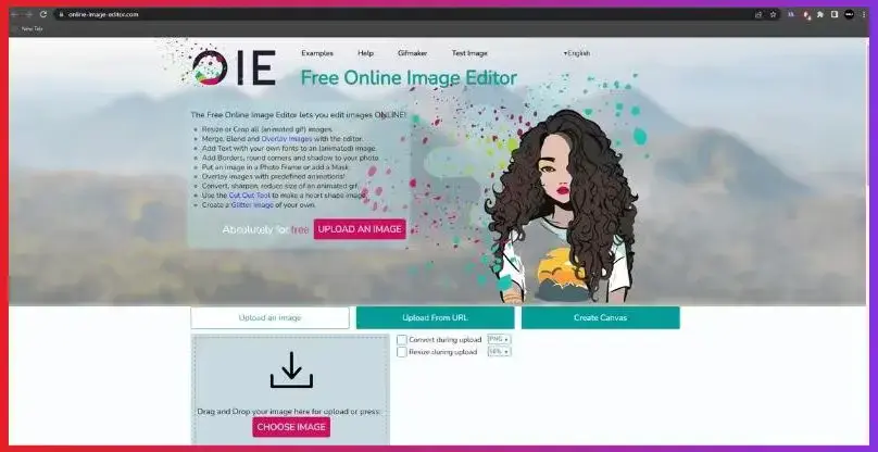 Gehen Sie zum Browser