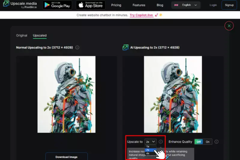 Choose Your Upscaling Settings