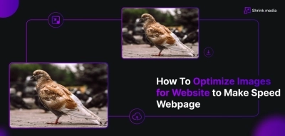 How To Optimize Images for Website to Make Speed Webpage