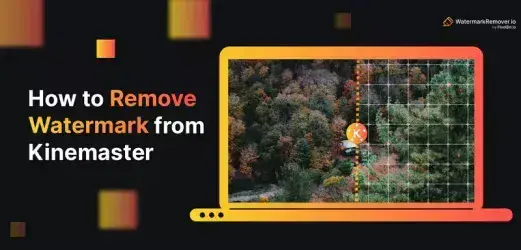 How to Remove Watermark from Kinemaster?