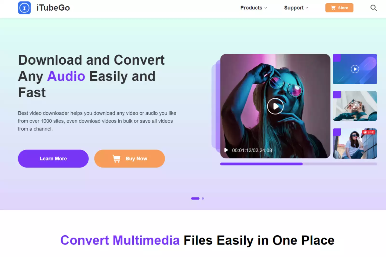 Home Page of iTubeGo