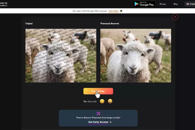 Last Step to Download Image without Watermark