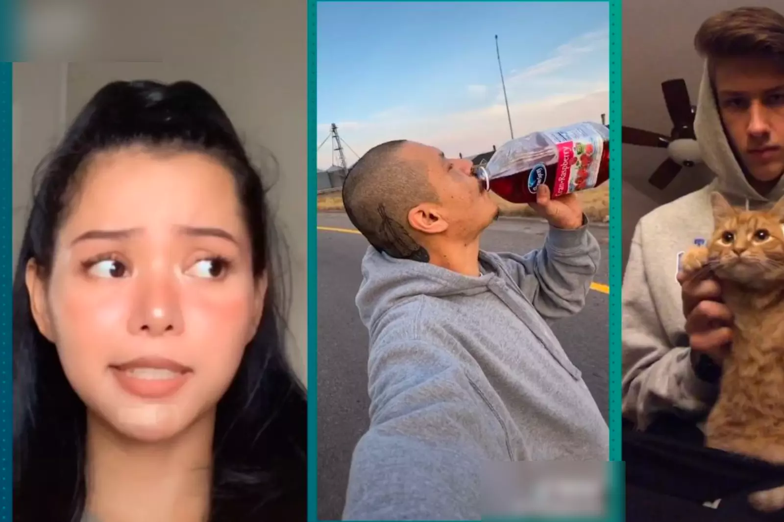 tiktok vide without watermark