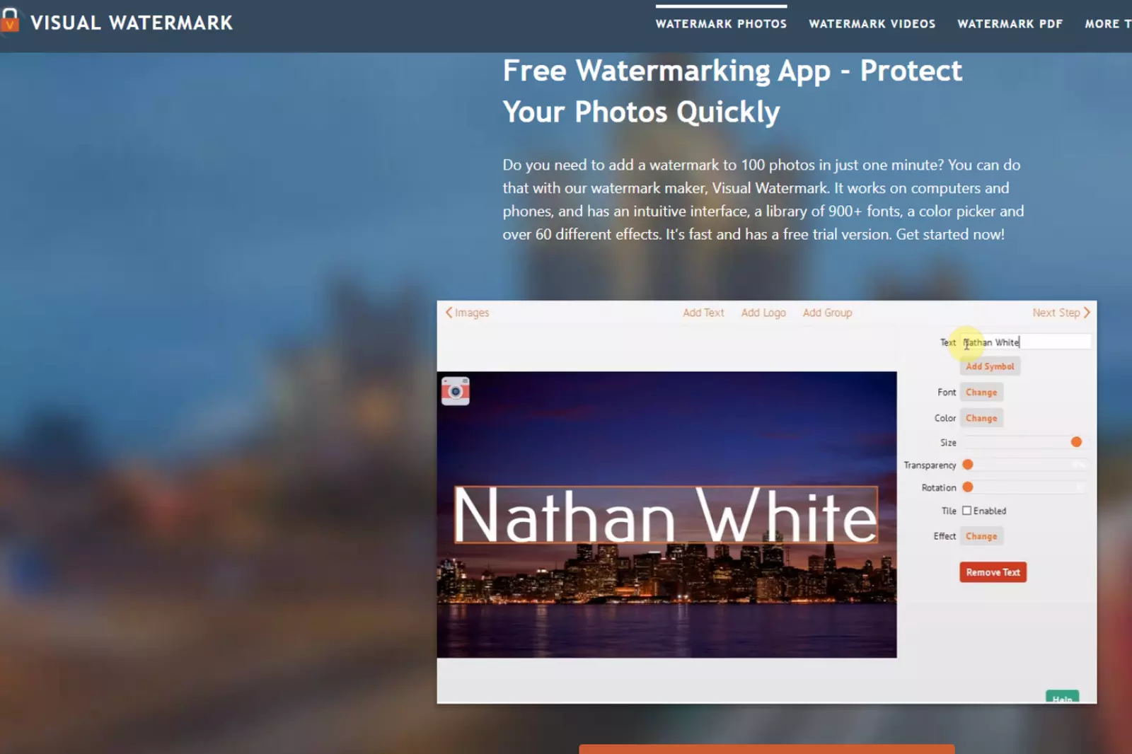 Home Page of Salt