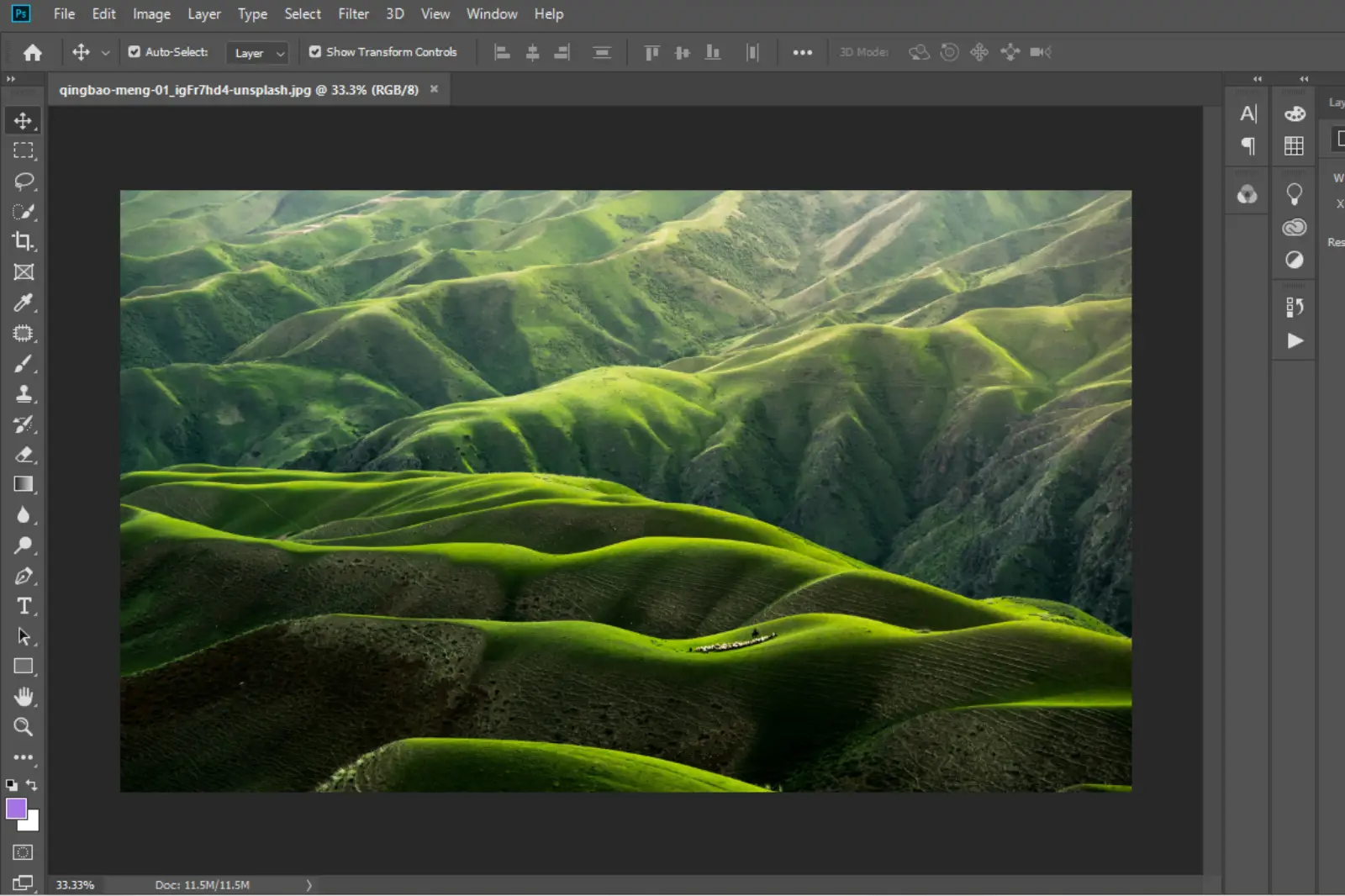 Open your image in Photoshop