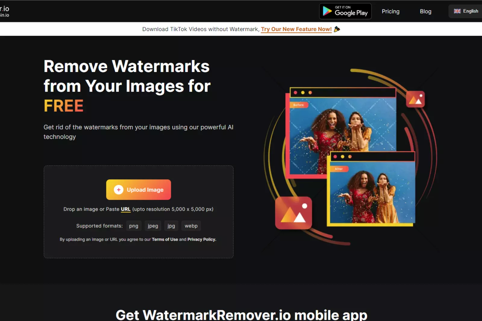 Visit the Home Page of WatermarkRemover.io