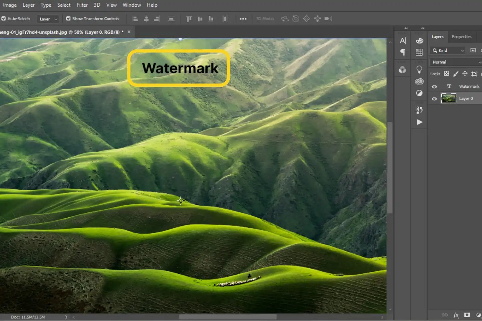 Add your watermark