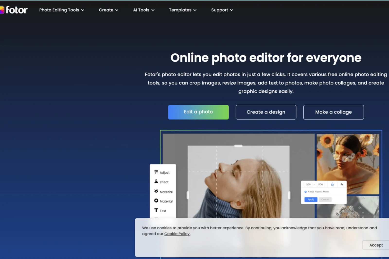 Home Page of Fotor