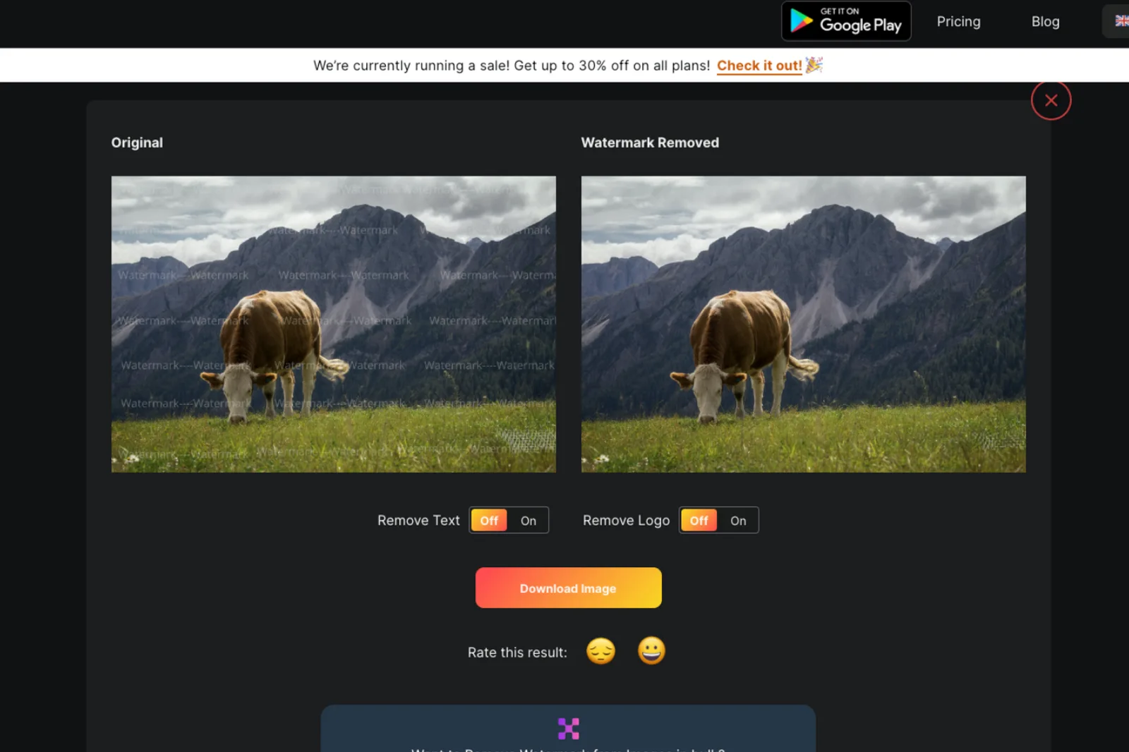 Last Step to Download image without Watermark