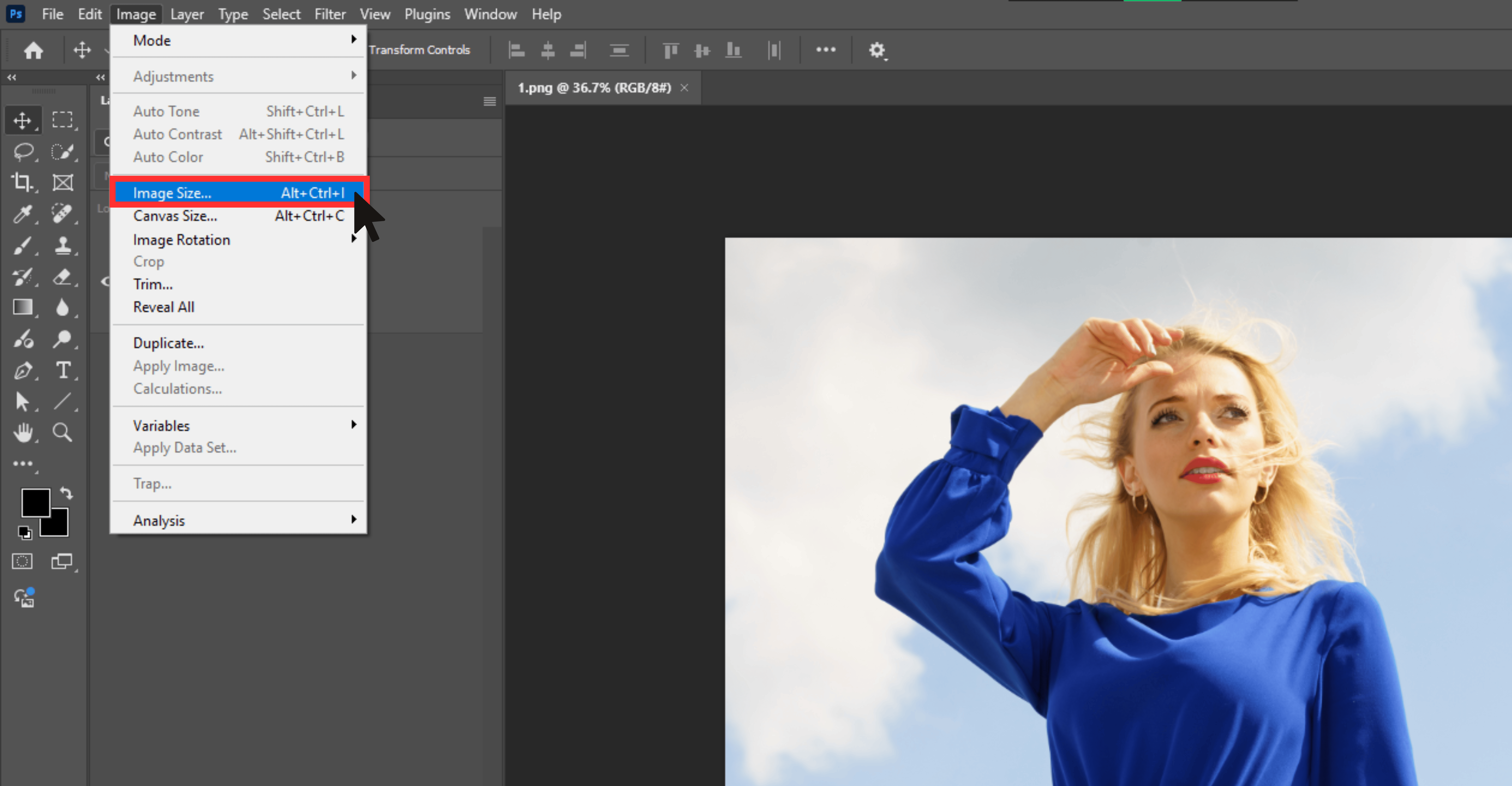 Change Image size