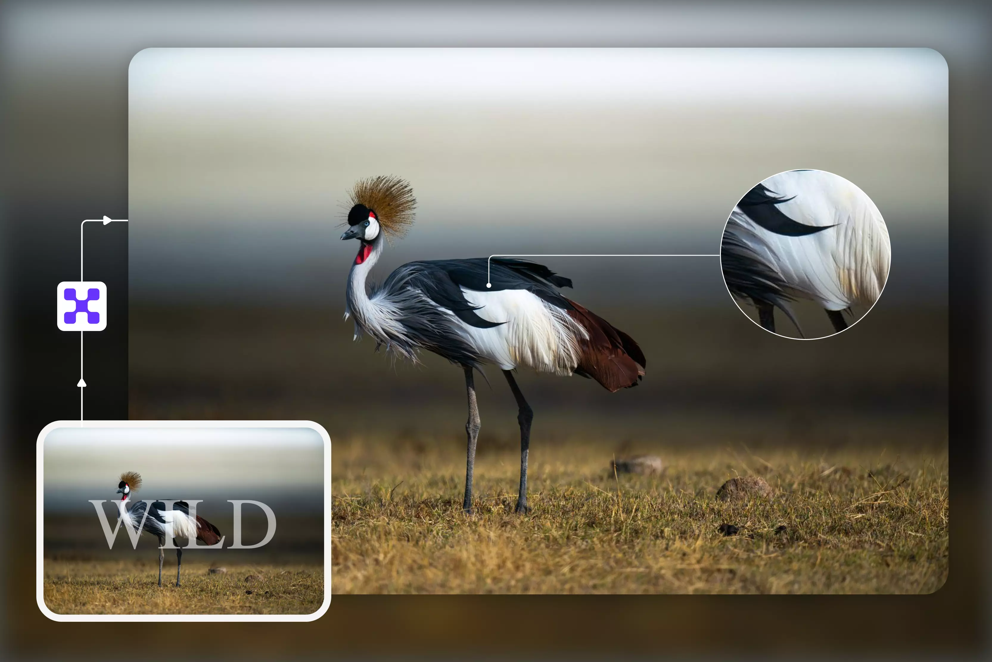 Best AI tools for text removal from an image