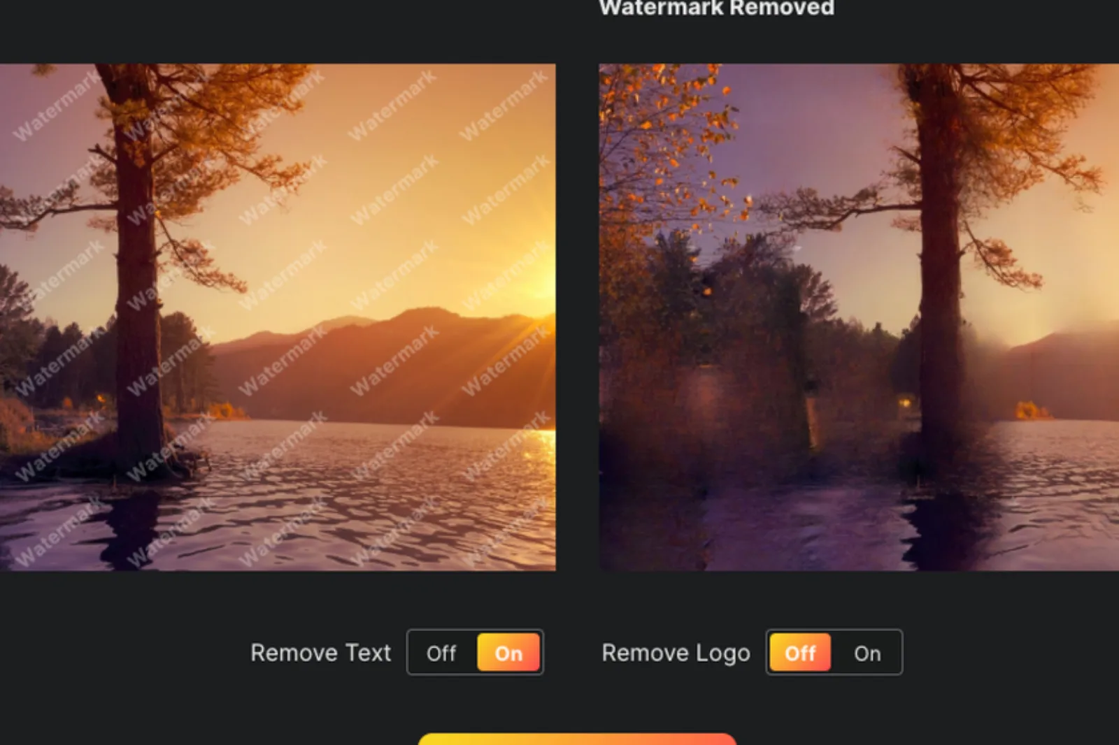 Remove Watermark" button and let the tool work
