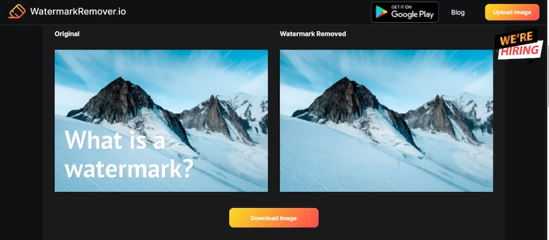 watermarkremover.io
