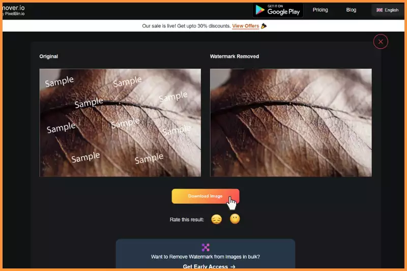 Final step of downloading image without watermark.