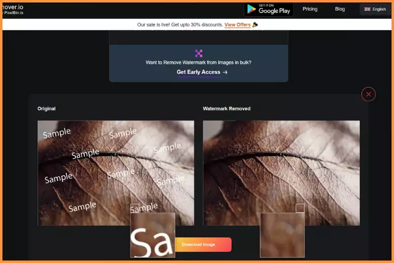 Processed image will be displayed.