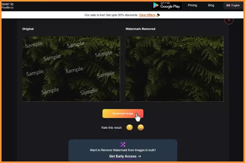 Now that the watermark is removed, the next step is to download the image