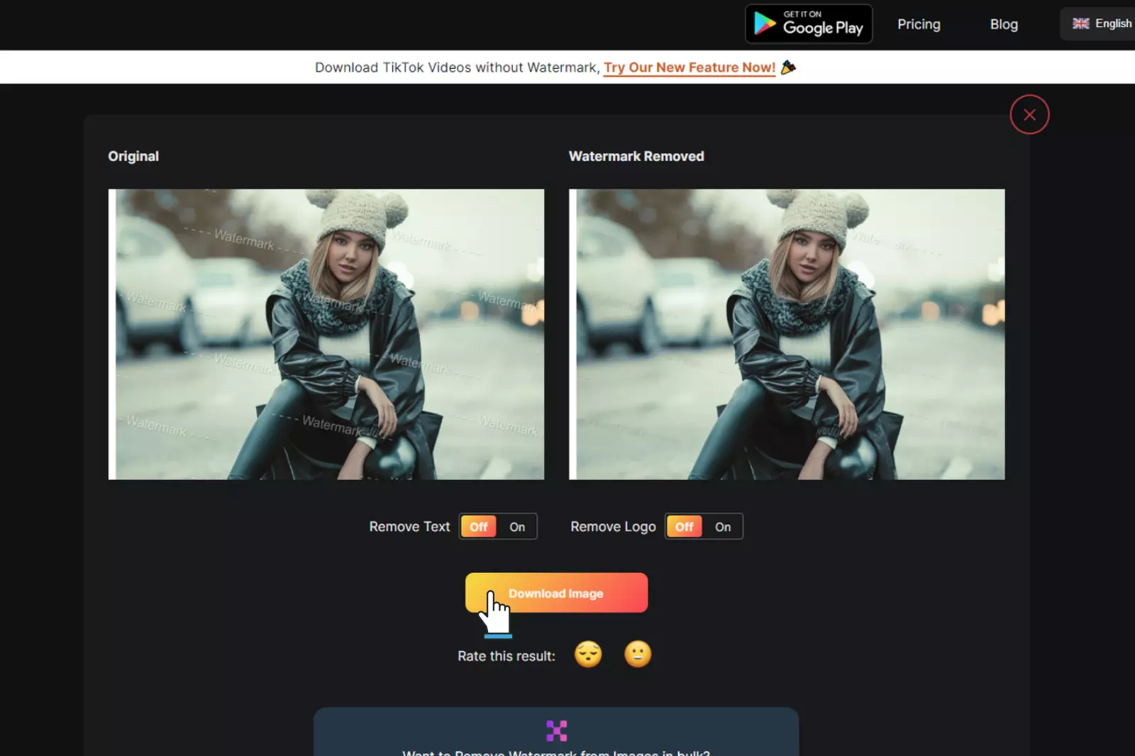 Last Step to Download Image