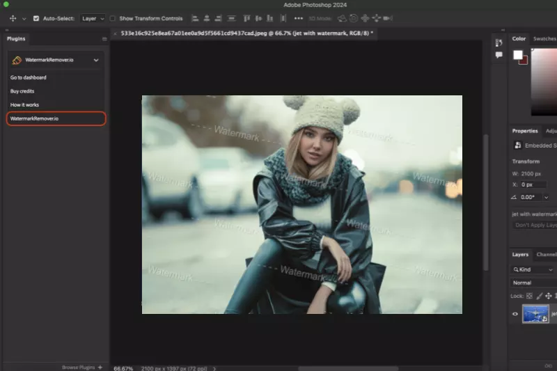 Installation of the Plugin