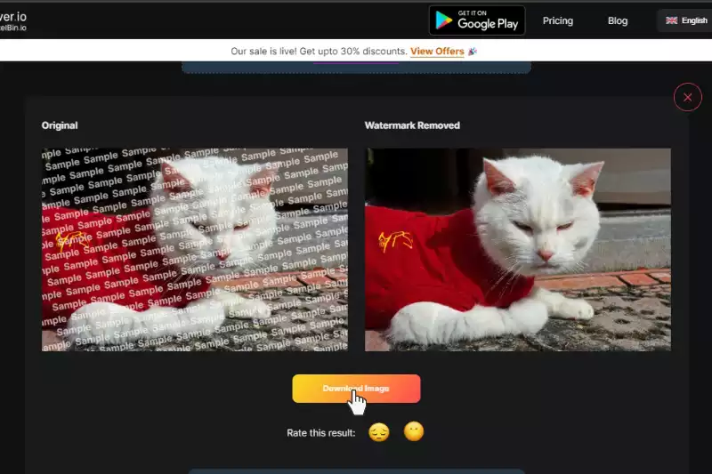 Last Step to Download image without watermark