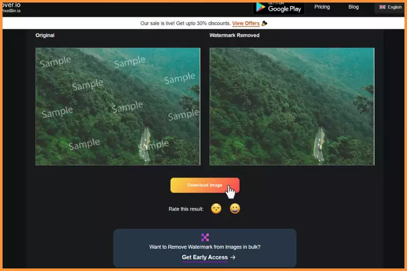 Final step of clicking on download image to download image without watermark.