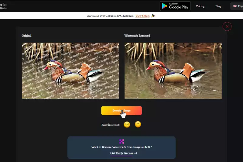 Last Step to Download Image without watermark