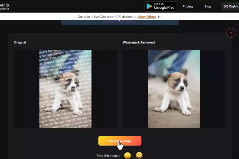 Last Step to Downoad image without Watermark