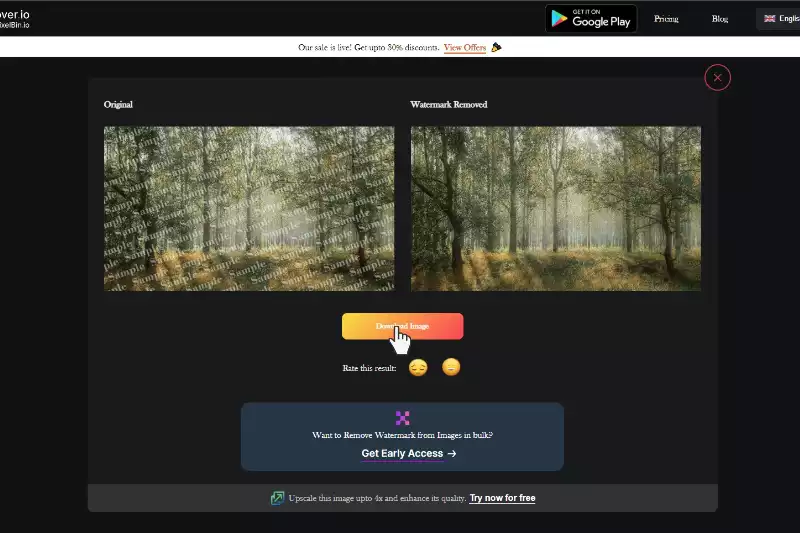 Last Step to Download Image without Background