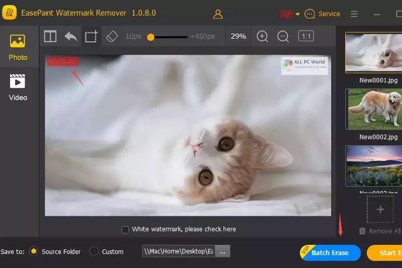 Home Page of EasePaint