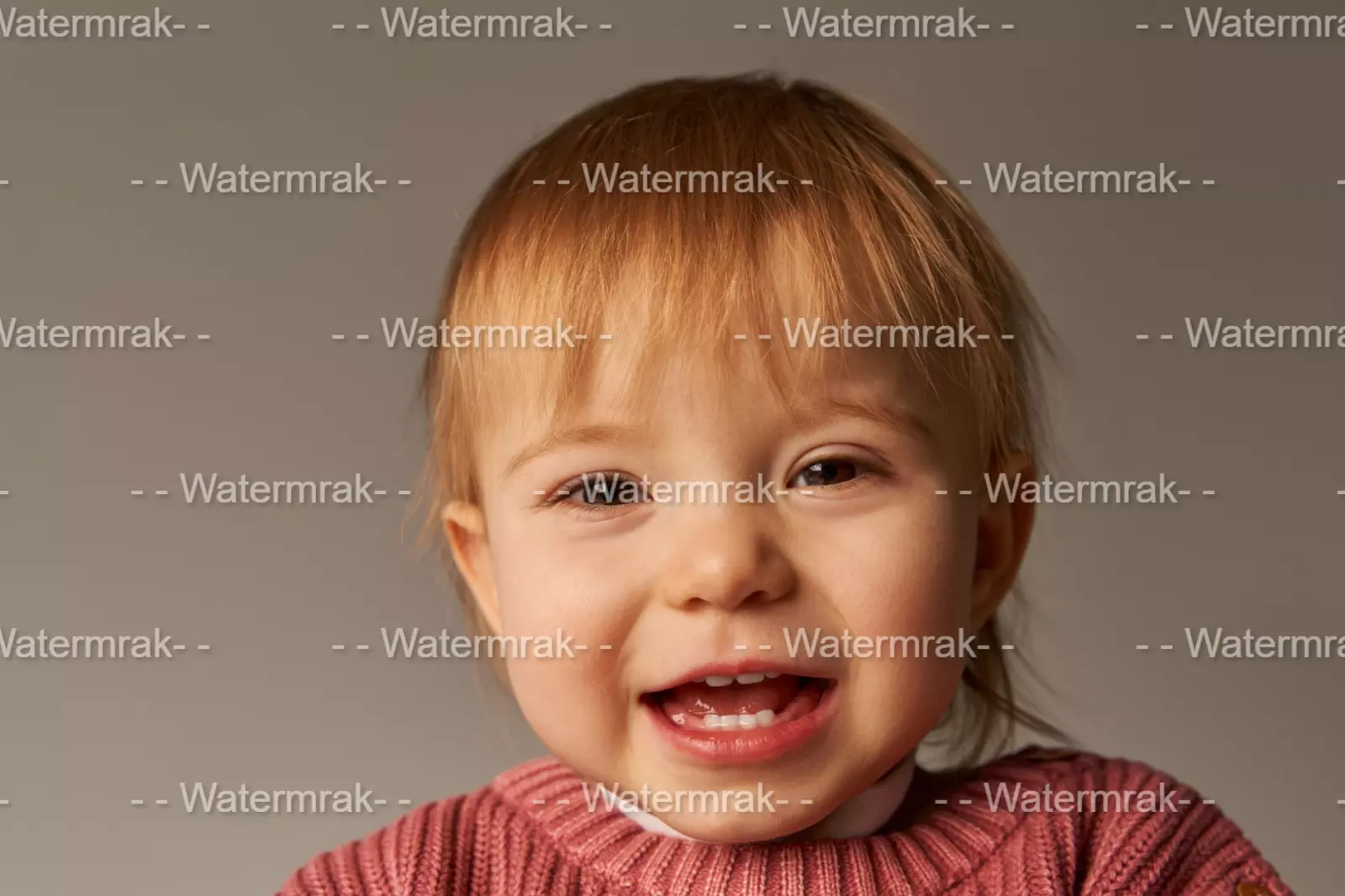 What is a Watermark?