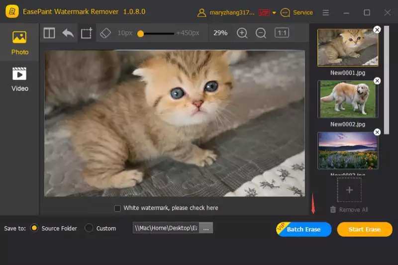 Home Page of Easepaint Watermark Remover