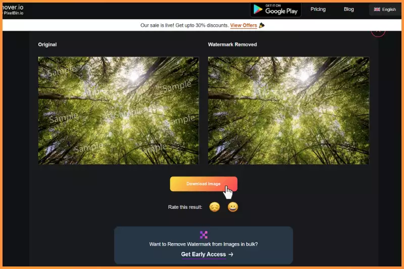 Click on download image to get image without watermark