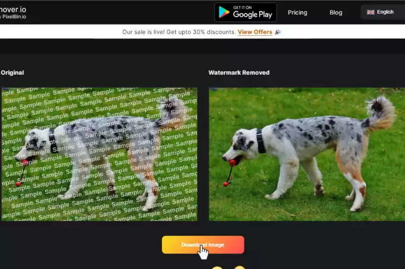 Last and Final Step to Download image without Watermark