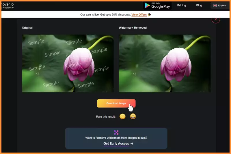 Final step is to click on download image to get image without watermark.