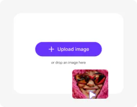 Add your image