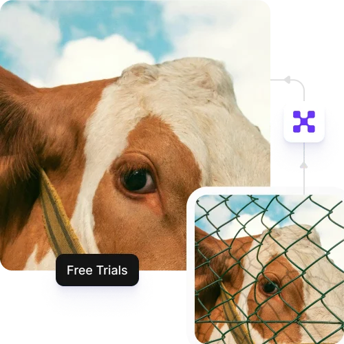 Free trials for everyone