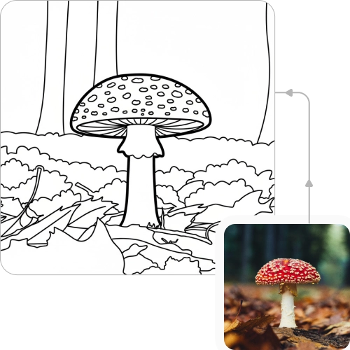 No technical skills required