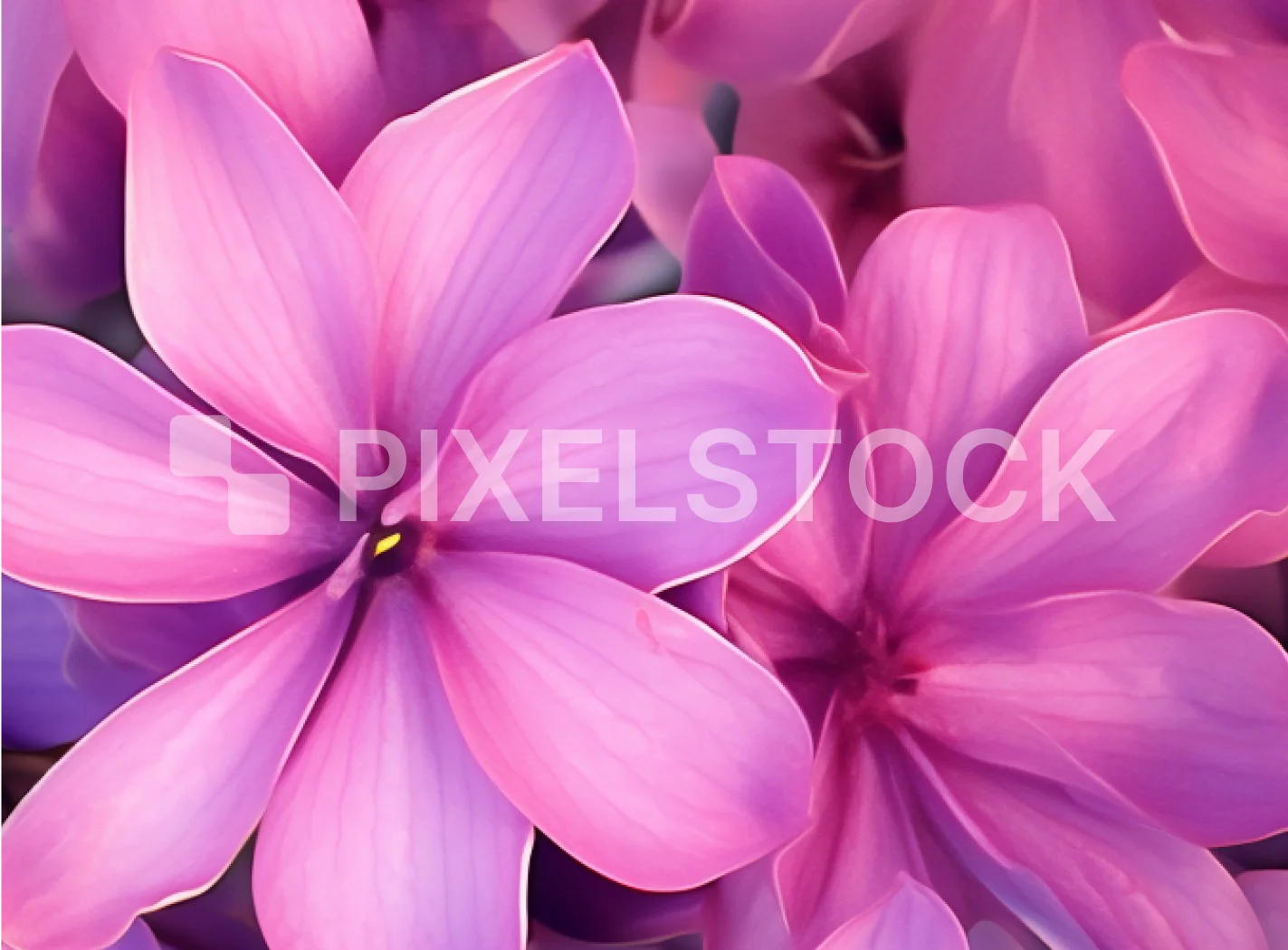 Remove watermark 