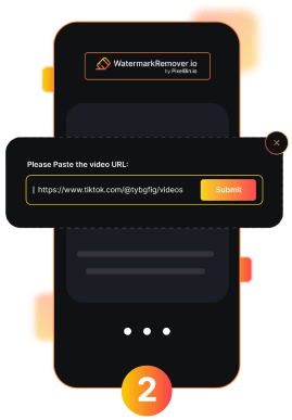 Paste TikTok Video URL
