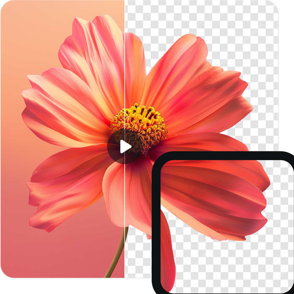 Clear nature and woodworking video without watermarks